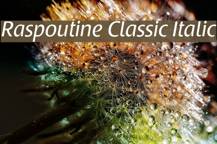 Raspoutine Classic Italic Font examples