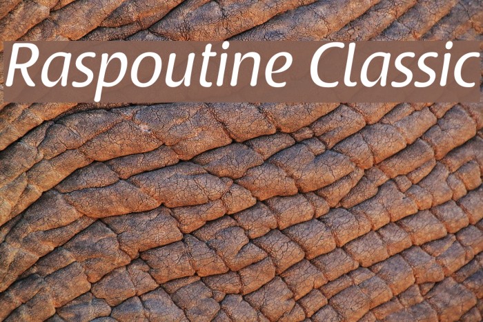 Raspoutine Classic Font examples