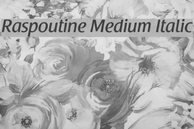 Raspoutine Medium Italic Polices examples