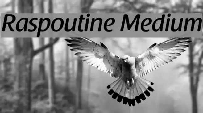 Raspoutine Medium Font examples