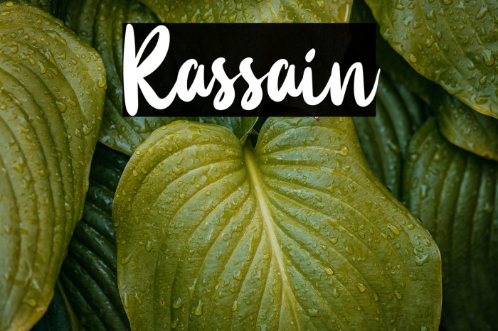 Rassain Example 1