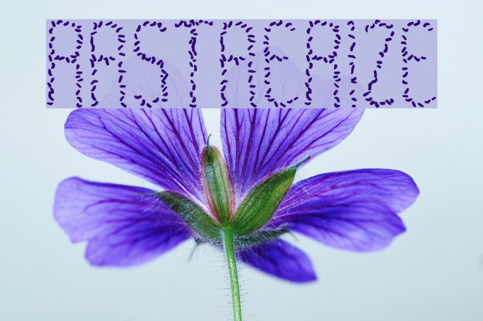 Rastaerize Example 2