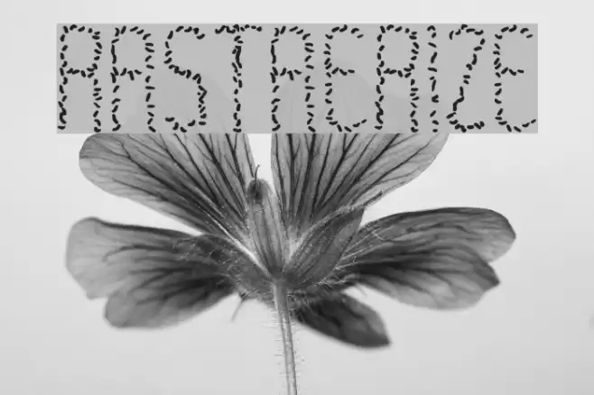 Rastaerize Font examples