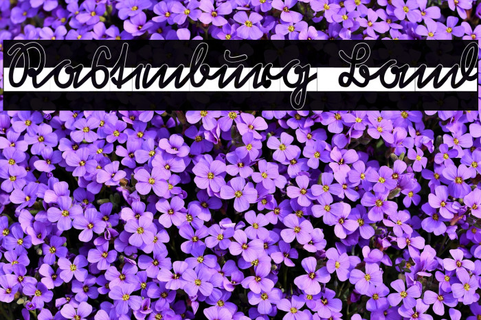 Rastenburg Band Font examples