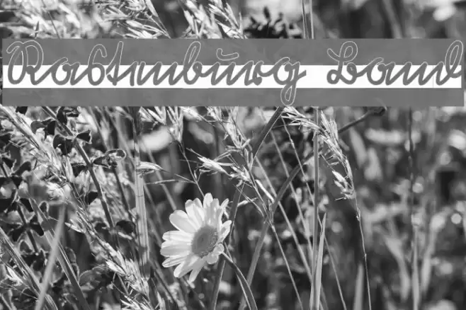 Rastenburg Band Font examples