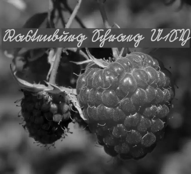 Rastenburg Schraeg U1SY Font examples