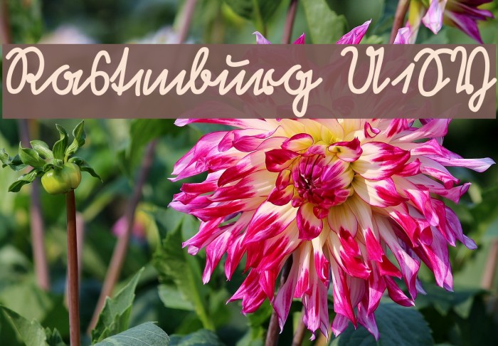 Rastenburg U1SY Font examples