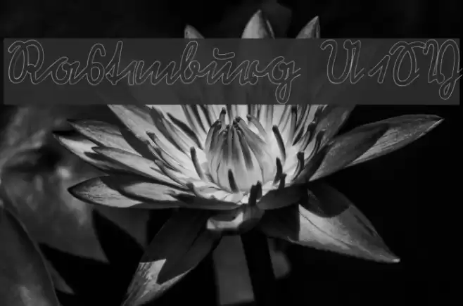 Rastenburg U1SY Font examples