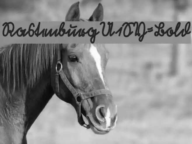 RastenburgU1SY-Bold Font examples