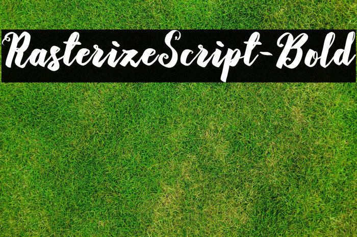 RasterizeScript-Bold Example 3