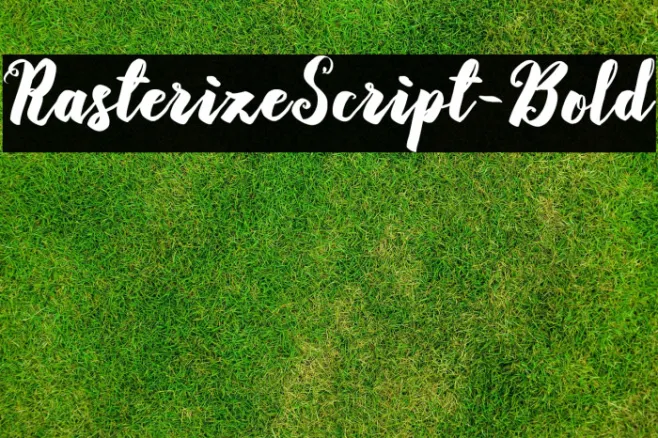 RasterizeScript-Bold Example 3