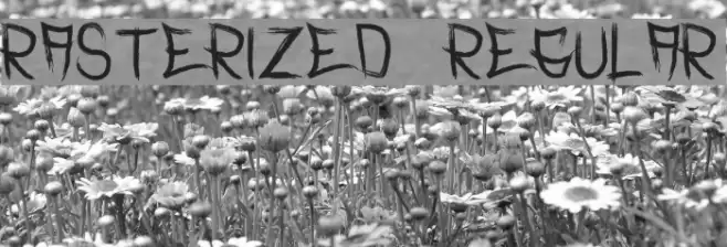 Rasterized  Regular Font examples