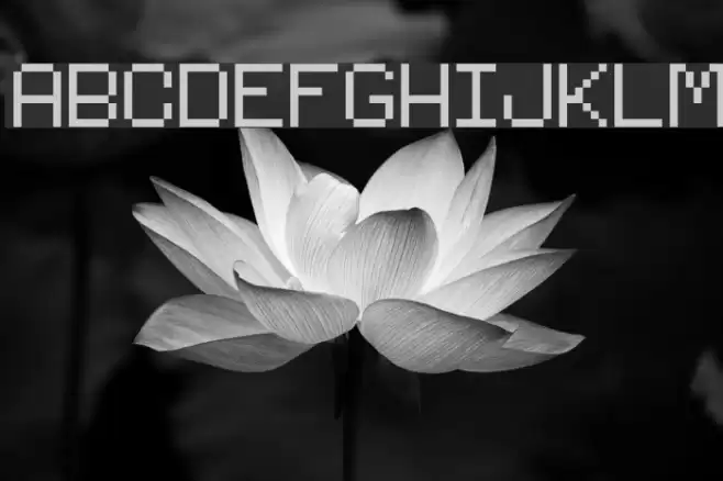 Rasterman Font examples