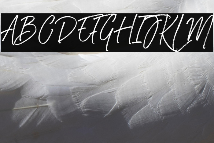 RasthmonBrushDEMO Example 2