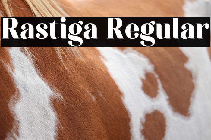Rastiga Regular Example 1