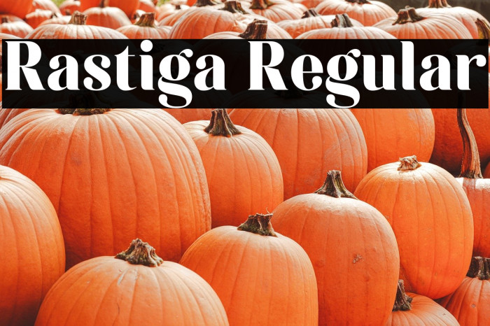 Rastiga Regular Example 2