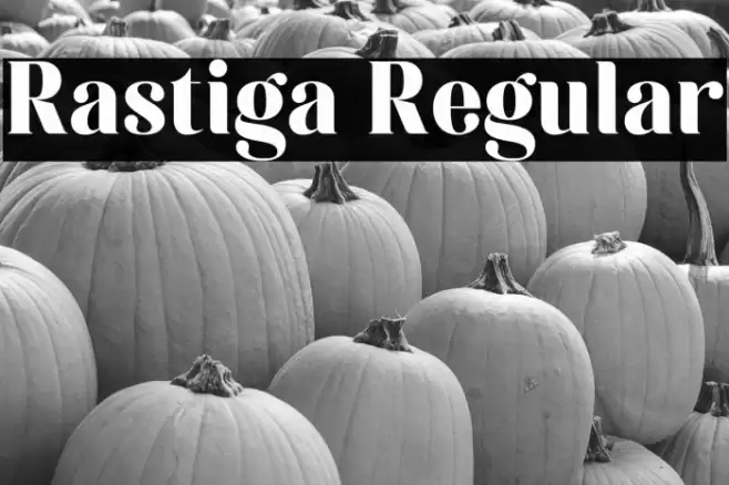 Rastiga Regular Font examples