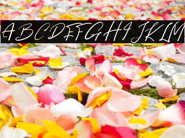 Rastin Smith Example 2