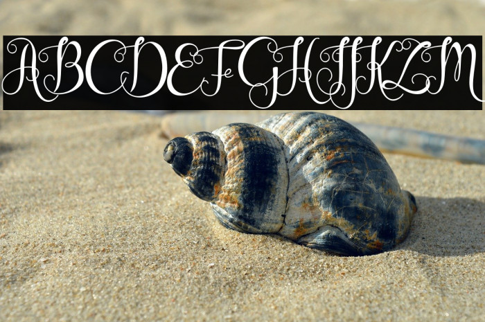 Rastler Demo Example 1