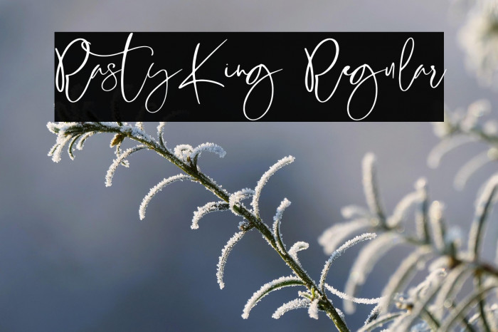 RastyKing Regular Example 1