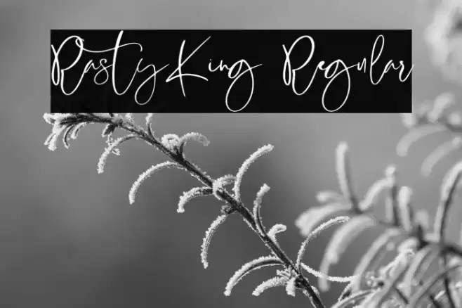 RastyKing Regular Font examples
