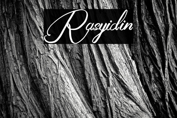 Rasyidin Example 1