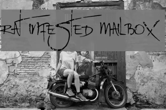 Rat Infested Mailbox Font examples