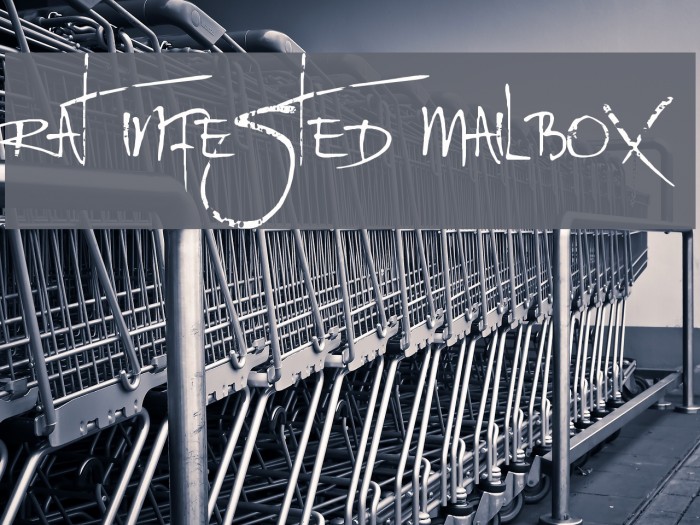 Rat Infested Mailbox Example 3