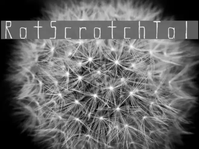 Rat Scratch Tall Font examples