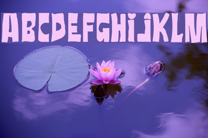 Rata Negra Font examples