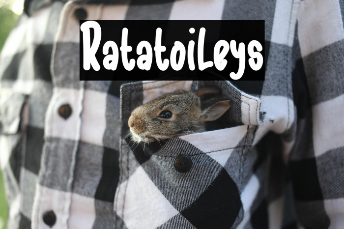 Ratatoileys Example 3