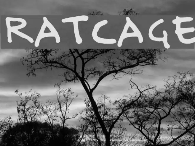 Ratcage Font examples
