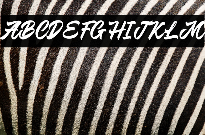 Ratcliffer Example 1