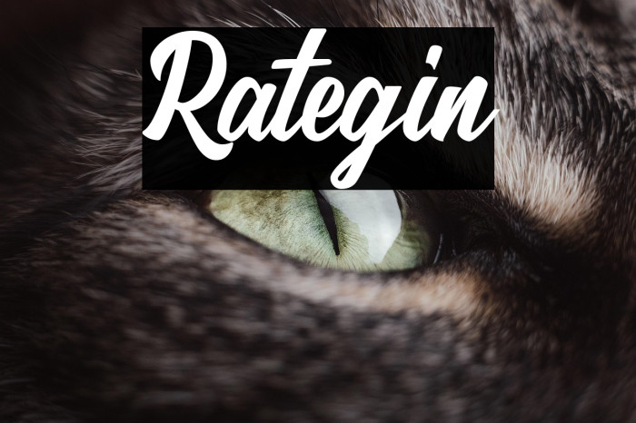 Rategin Example 1