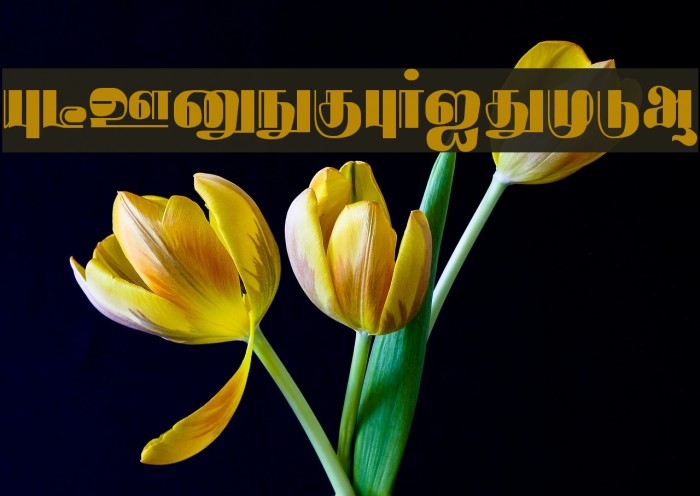 Rathnangi Regular Font examples