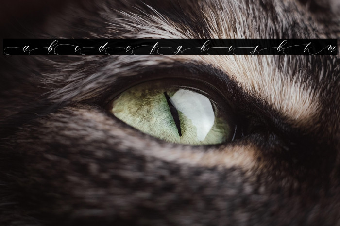 Rathouly-PersonalUse Example 3