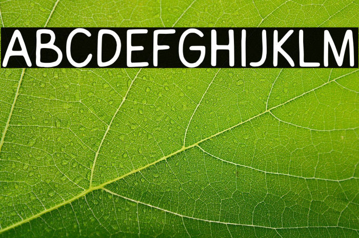 Rathskeller Example 1