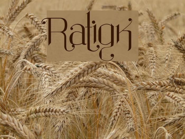 Ratigk Font examples