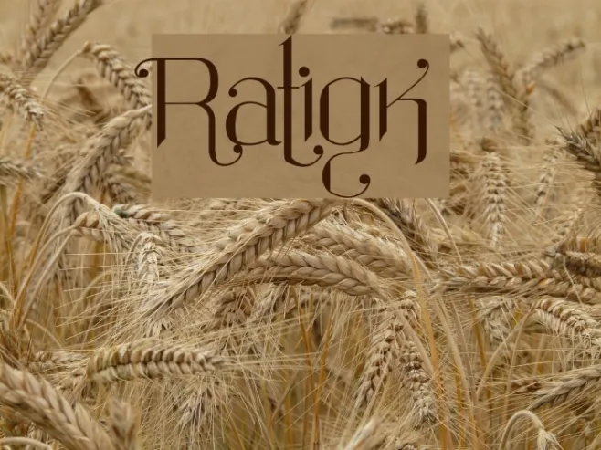 Ratigk Example 3