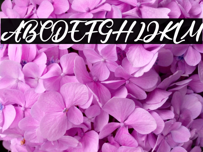 Ratih Hyun Example 1