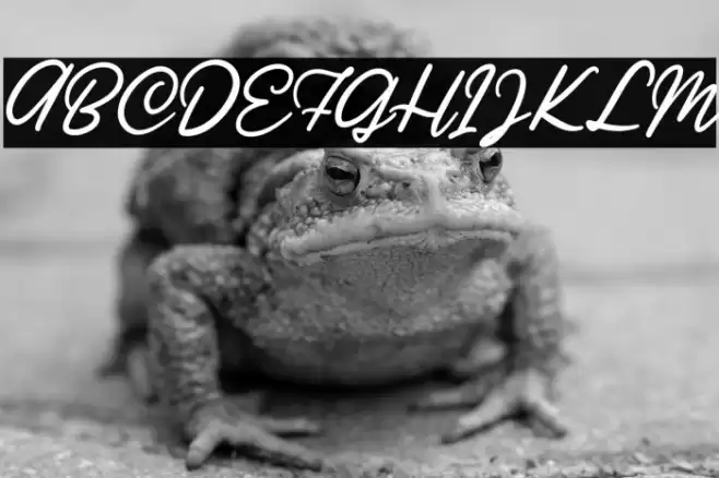 Ratilla Script Regular Fuentes examples