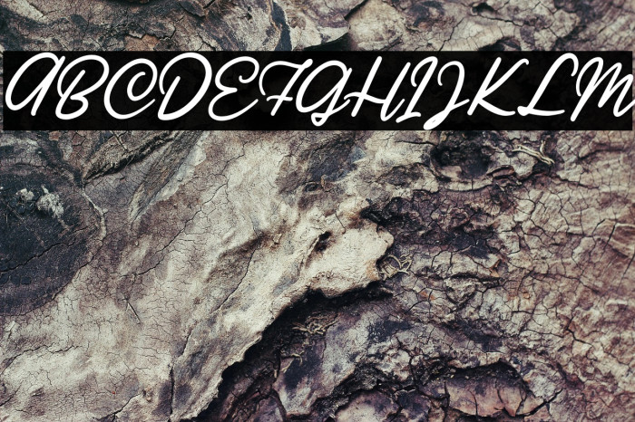 Ratilla Script Regular Example 2