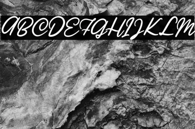 Ratilla Script Regular Fuentes examples