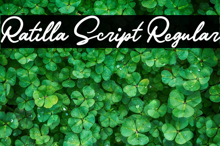 Ratilla Script Regular Example 1