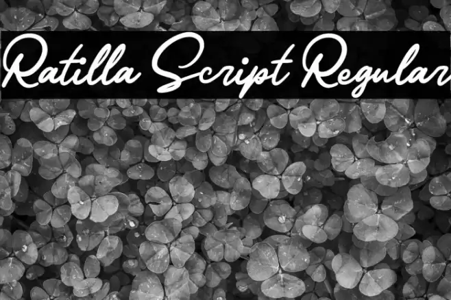 Ratilla Script Regular Font examples