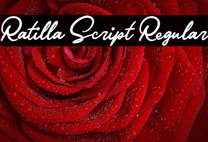 Ratilla Script Regular Example 2