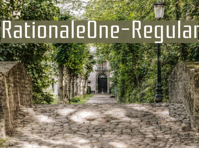 RationaleOne-Regular Font examples