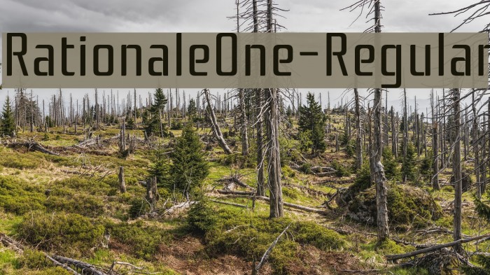 RationaleOne-Regular Font examples