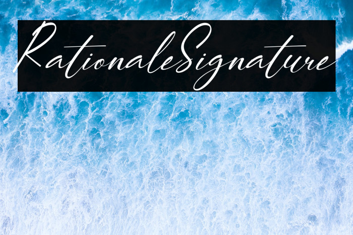 RationaleSignature Example 1