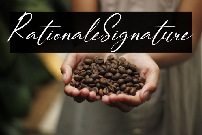 RationaleSignature Example 2